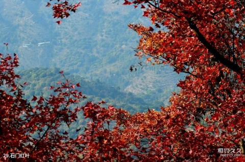 从化石门国家森林公园旅游攻略 之 石门红叶 从化石门国家森林公园旅游攻略 之 石门红叶