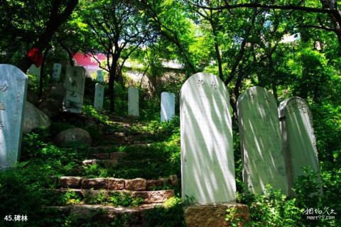 平度大泽山风景区旅游攻略 之 碑林