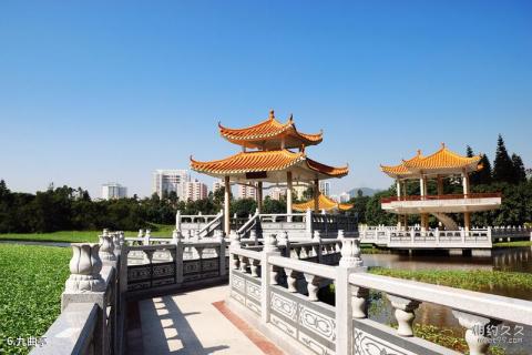 深圳洪湖公园旅游攻略 之 九曲亭