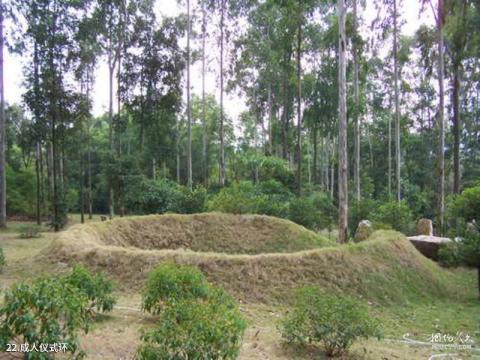 中科院华南植物园旅游攻略 之 成人仪式环 中科院华南植物园旅游攻略 之 成人仪式环