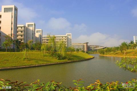 华南师范大学校园风光 之 砚湖