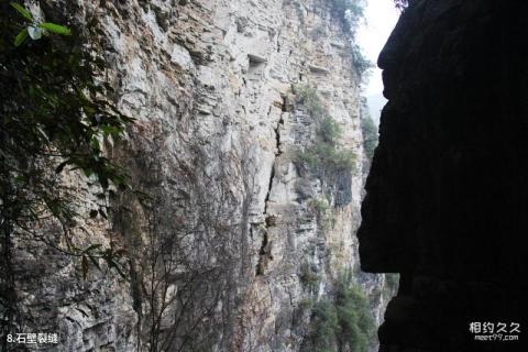 张家界大峽谷旅游攻略 之 石壁裂缝 张家界大峽谷旅游攻略 之 石壁裂缝