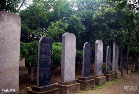 三门峡函谷关古文化旅游区旅游攻略 之 函谷碑林 三门峡函谷关古文化旅游区旅游攻略 之 函谷碑林