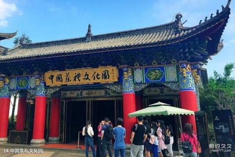 昆明七彩云南景区旅游攻略 之 中国茶礼文化园