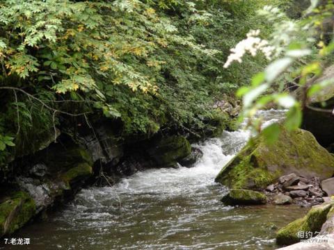 宁夏六盘山旅游区旅游攻略 之 老龙潭 宁夏六盘山旅游区旅游攻略 之 老龙潭