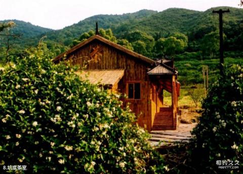 舟山马岙旅游区旅游攻略 之 坑底茶室 舟山马岙旅游区旅游攻略 之 坑底茶室