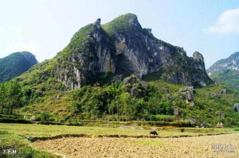 罗甸大小井风景名胜区旅游攻略 之 石林