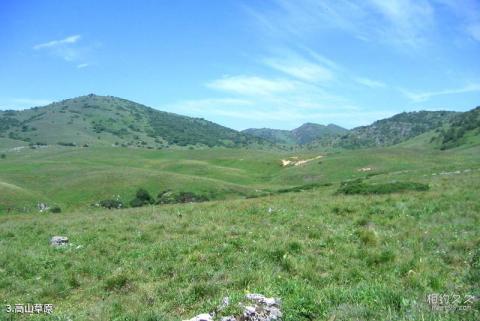 巫溪红池坝风景区旅游攻略 之 高山草原 巫溪红池坝风景区旅游攻略 之 高山草原