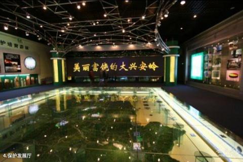 大兴安岭资源馆旅游攻略 之 保护发展厅 大兴安岭资源馆旅游攻略 之 保护发展厅