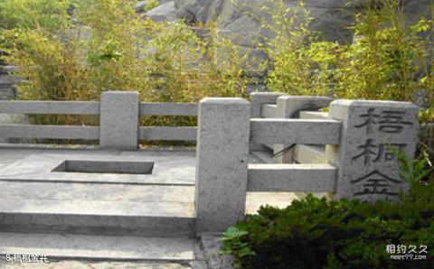 即墨鹤山风景区旅游攻略 之 梧桐金井 即墨鹤山风景区旅游攻略 之 梧桐金井