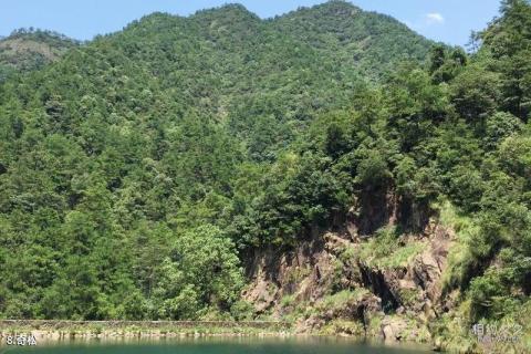 杭州大奇山国家森林公园旅游攻略 之 奇松