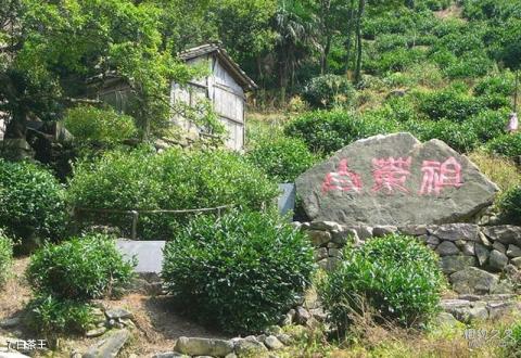 青海峡群寺森林公园旅游攻略 青海峡群寺森林公园旅游攻略