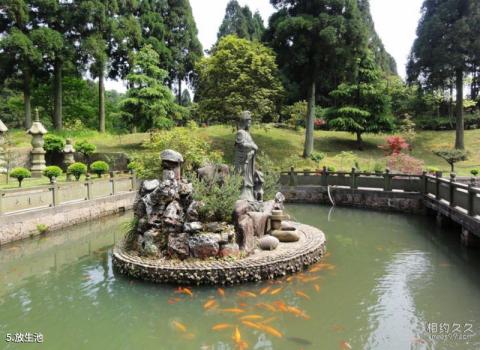 苍南玉苍山国家森林公园旅游攻略 之 放生池