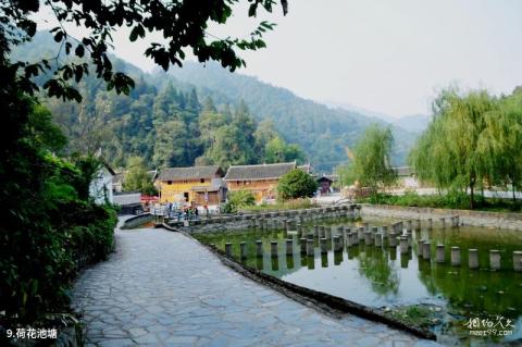 铜仁石阡尧上旅游景区旅游攻略 之 荷花池塘