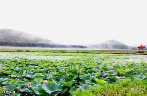 密山铁西森林公园旅游攻略 之 塔头湖