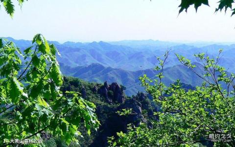 大连大黑山风景区旅游攻略 之 大黑山森林公园 大连大黑山风景区旅游攻略 之 大黑山森林公园