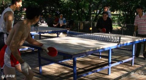 齐齐哈尔龙沙公园旅游攻略 之 乒乓球