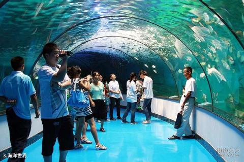 山东泉城海洋极地世界旅游攻略 之 海洋世界 山东泉城海洋极地世界旅游攻略 之 海洋世界