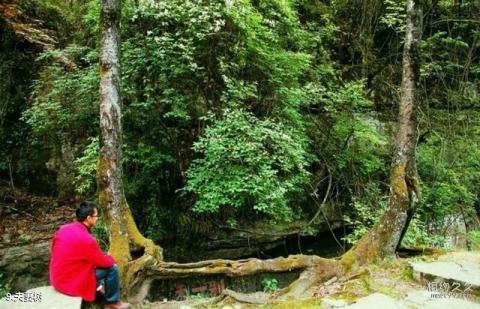 四川鼓城山•七里峡旅游攻略 之 夫妻树