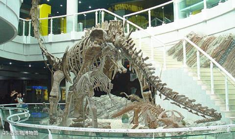 深圳仙湖植物园旅游攻略 之 古生物博物馆 深圳仙湖植物园旅游攻略 之 古生物博物馆