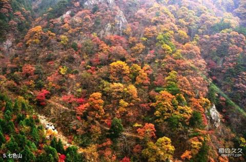 岳西鹞落坪国家级自然保护区旅游攻略 之 七色山 岳西鹞落坪国家级自然保护区旅游攻略 之 七色山