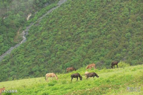 巴拉格宗香格里拉大峡谷旅游攻略 之 乃当牧场 巴拉格宗香格里拉大峡谷旅游攻略 之 乃当牧场