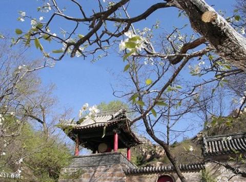 莱州云峰山景区旅游攻略 之 春桃 莱州云峰山景区旅游攻略 之 春桃