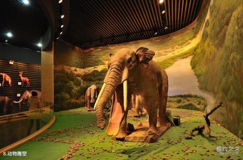 和政古动物化石博物馆旅游攻略 之 动物雕塑