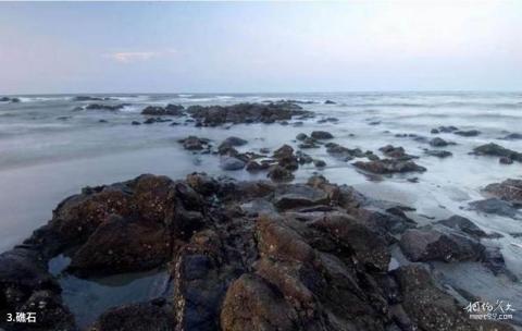 吴川吉兆湾旅游攻略 之 礁石