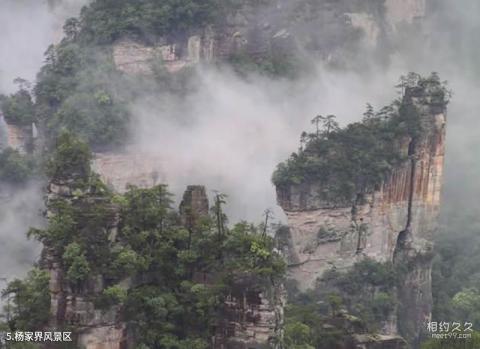 张家界武陵源旅游攻略 之 杨家界风景区 张家界武陵源旅游攻略 之 杨家界风景区