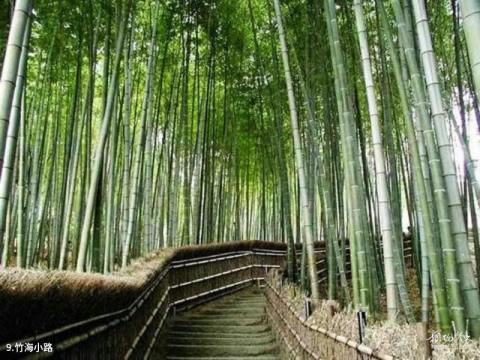 桃花江竹海旅游区旅游攻略 之 竹海小路 桃花江竹海旅游区旅游攻略 之 竹海小路