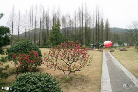杭州植物园旅游攻略 之 桃花园