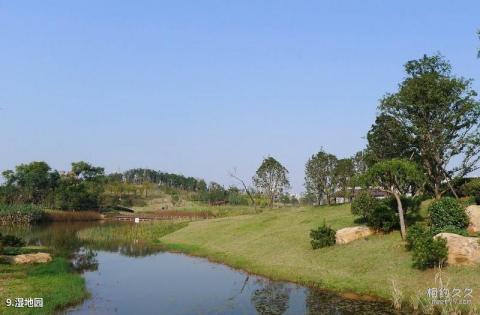 永城淮海战役陈官庄纪念馆旅游攻略 永城淮海战役陈官庄纪念馆旅游攻略