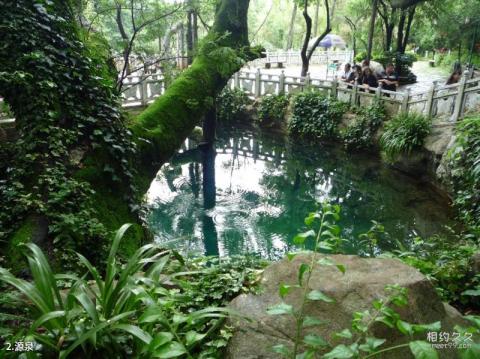 大理蝴蝶泉公园旅游攻略 之 源泉 大理蝴蝶泉公园旅游攻略 之 源泉