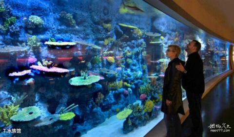 丹麦趣伏里公园旅游攻略 之 水族馆