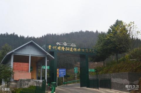 贵州晴隆二十四道拐旅游攻略 之 景区