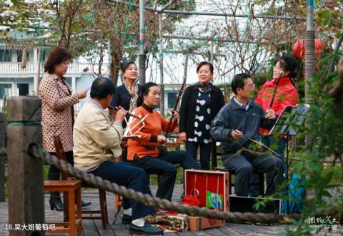 舟山马岙旅游区旅游攻略 之 吴大姐葡萄吧 舟山马岙旅游区旅游攻略 之 吴大姐葡萄吧