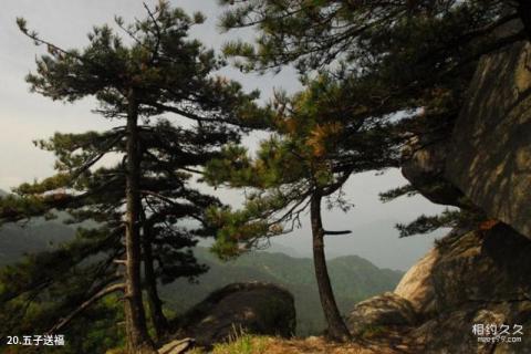 岳西妙道山风景区旅游攻略 之 五子送福