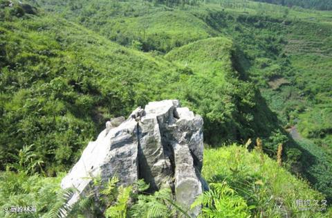 晴隆三望坪风景区旅游攻略 之 高岭林海 晴隆三望坪风景区旅游攻略 之 高岭林海