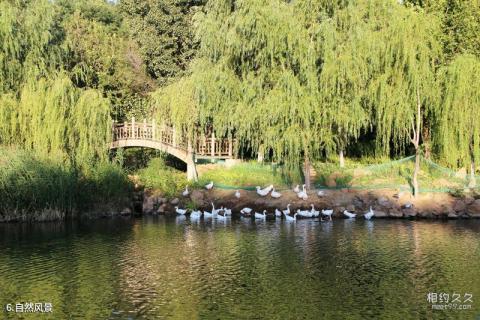 北京张裕爱斐堡国际酒庄旅游攻略 之 自然风景
