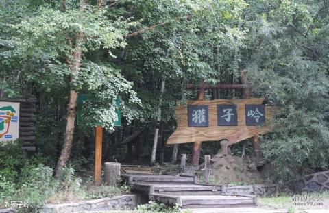 伊春锦绣山水公园旅游攻略 之 獾子岭 伊春锦绣山水公园旅游攻略 之 獾子岭