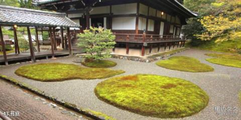日本醍醐寺旅游攻略 之 苔庭
