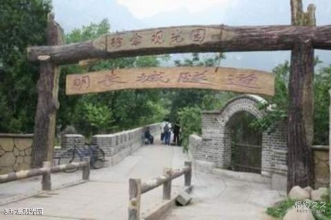 绥中九门口水上长城旅游攻略 之 珍禽观光园 绥中九门口水上长城旅游攻略 之 珍禽观光园