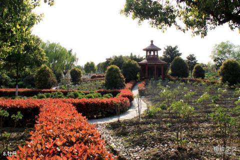 苏州中国花卉植物园旅游攻略 之 牡丹