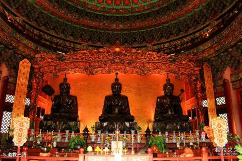 广东宝趣玫瑰世界旅游攻略 广东宝趣玫瑰世界旅游攻略