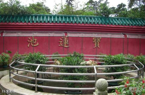 香港宝莲禅寺旅游攻略 之 宝莲池