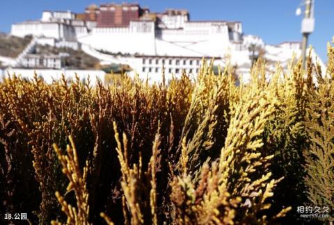 西藏布达拉宫旅游攻略 之 公园