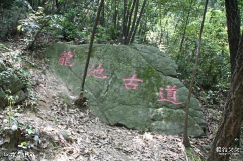 宜兴龙池山风景区旅游攻略 之 龙池古栈道