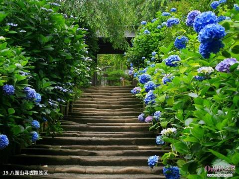 洪雅瓦屋山森林公园旅游攻略 之 八面山寻古揽胜区 洪雅瓦屋山森林公园旅游攻略 之 八面山寻古揽胜区