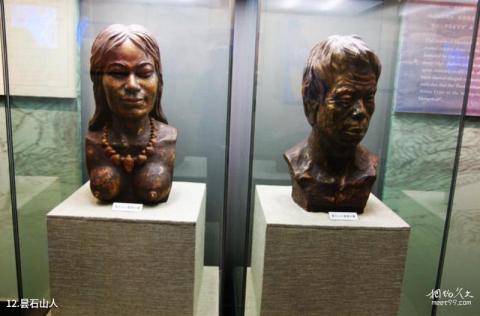 福建昙石山文化博物馆旅游攻略 之 昙石山人 福建昙石山文化博物馆旅游攻略 之 昙石山人